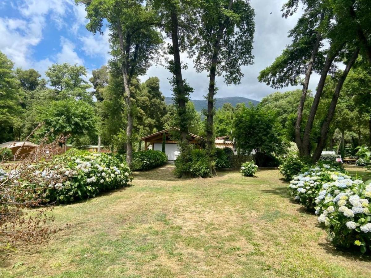 Camping Le Sagone Sagone (Corsica) Exterior foto