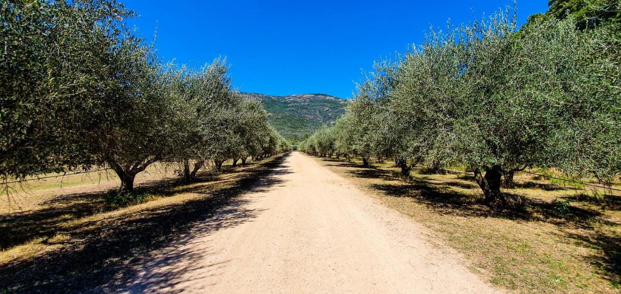 Camping Le Sagone Sagone (Corsica) Exterior foto